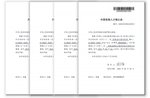 高远公司4名外聘专家获河南省签发首批《外国高端人才确认函》